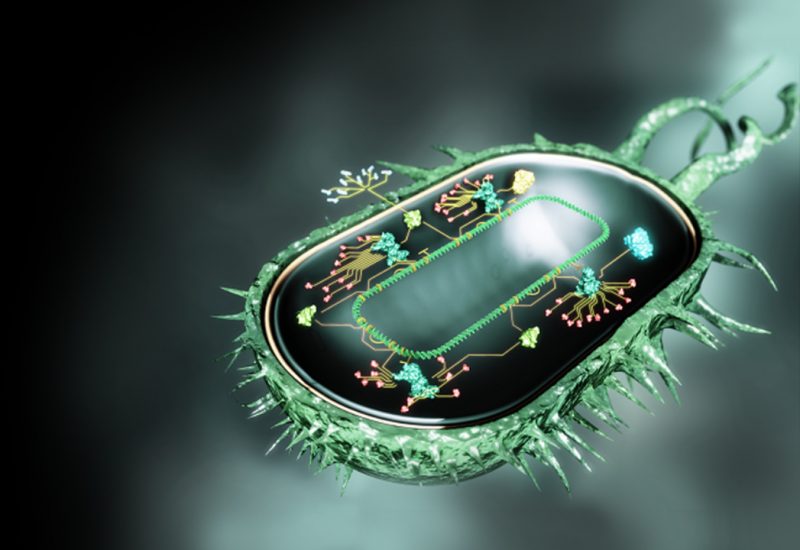Biological Computation with Colin Gravill