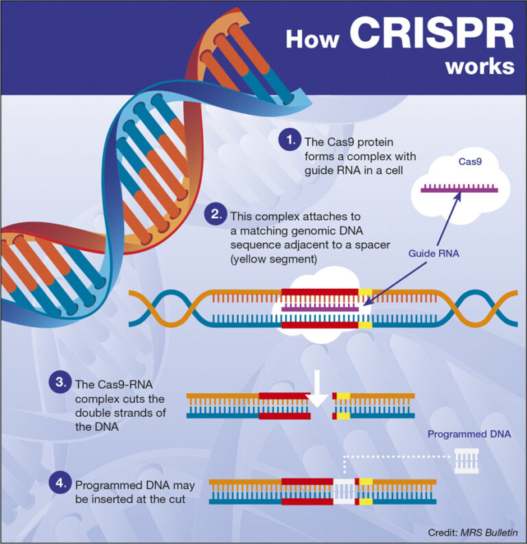 CRISPR with Geoff Ralston