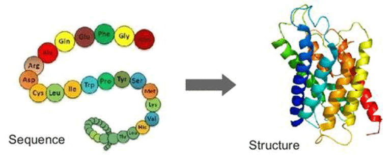 Protein Structure Deep Learning with Mohammed Al Quraishi